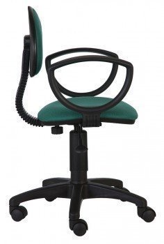 Кресло компьютерное зеленое Бюрократ CH-213AXN/Green