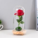 Ночник "Алая роза" Luxury Gift, LED, 19,5 х 9,5 см, от батареек